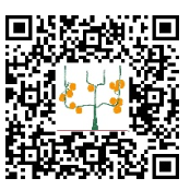 qr-code espalier